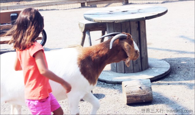 Zoo Sauvage de St-Félicien 6